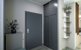 sz5ryixnye_____vstup.dvere_int_1870596769